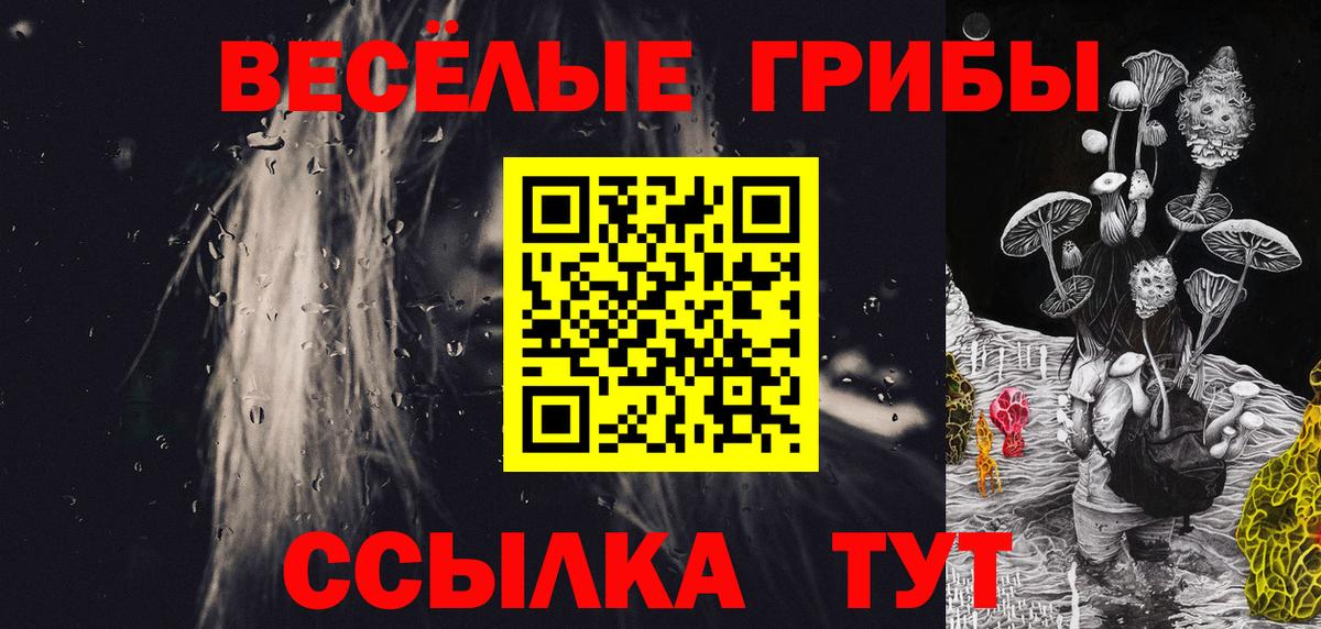 Туймазы  Псилоцибиновые грибы Psilocybe  закладки  Псилоцибиновые грибы Magic Shrooms  Вход с VPN 
